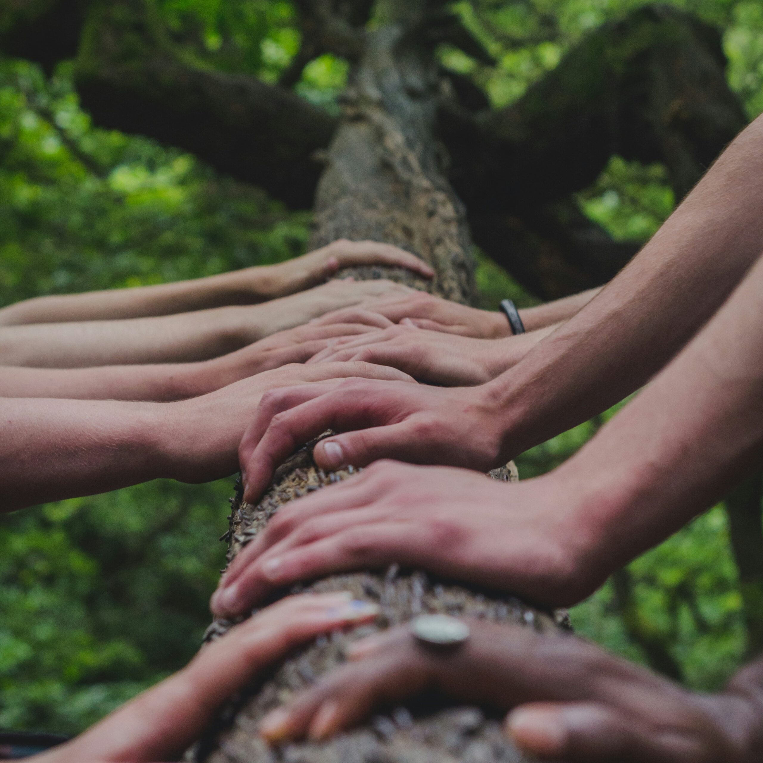 Stakeholder Analysis in Double Materiality: Key Steps for Effective Reporting